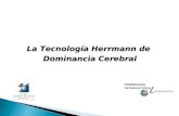 Herrmann Technology   The Brain Dominance