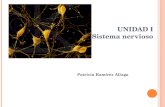 Unidad i sistema nervioso, iiºmedio
