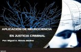Aplicacion de la neurociencia en justicia criminal