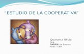 Estudio de la cooperativa - Autor: Silvia Quaranta