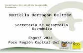 Bogotá 2038 - Sesión Vocación productiva de la Región - Presentación Mariela Barragán