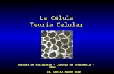 La celula   teoria celular