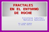 Trabajo Investigación Fractales en el entorno de Roche