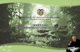 Presentación proyecto biodiversidad botánica