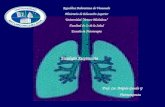 Fisiología del aparato respiratorio # 2