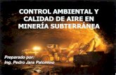 Control Ambiental Mineria