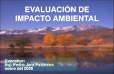 Curso de Evaluacion de Impacto Ambiental UNMSM 2008