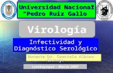Presentación: Pruebas de infectividad y Diagnóstico Serológico  en Virus (1)