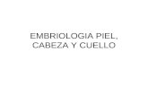 Embriologia Piel, Cabeza y Cuello
