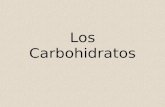 Presentación Carbohidratos 2+