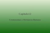 Clase 9 Patrones de Herencia y Cariotipo