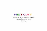 NetCat para Ignorantes