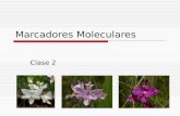 Clase 2-Marcadores Moleculares