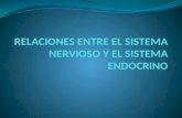 Relacion Sistema Nervioso - Endocrino