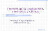 Factores de La n Fibrinolisis y Cininas