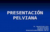 PresentaciÓn Pelviana