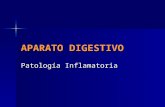 APARATO DIGESTIVO-patología inflamatoria