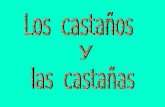 Los Casta±os