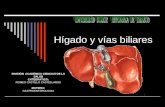 Hígado y vías Biliares (DIMS)
