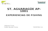St. Aguaragüe ap- 1001