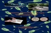 Monitoreo Bacteriologico Del Agua Guia Participacion Com Unit Aria
