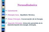 principios de termodinamica