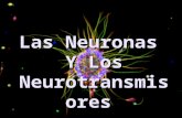 neurotransmisores 3º