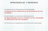APRENDIZAJE Y MEMORIA -> Futura  Médica