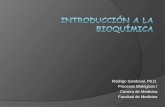 Procesos Biologicos - 01 - Introduccion.16.03.09