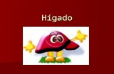 HIGADO -> Futura Médica