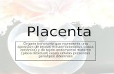 Copia de Placenta Charla