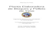 Proyecto Final - Planta elaboradora de yeso pelletizado y bloques de yeso