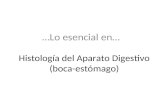 Histología del Aparato Digestivo