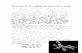 Dominio Archaea y Bacteria