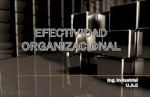 Efectividad organizacional