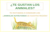 _ANIMALES AUTOCTONOS