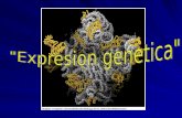 Expresion del material genetico