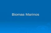 Biomas Marinos