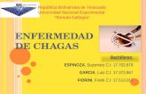 Chagas S_L_F El TRIO