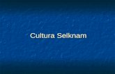 Cultura Selknam