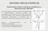 Sistema Circulatorio II