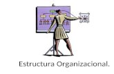 Estructura Organizacional - PPT