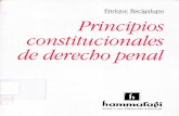 Principios Constitucionales de Derecho Penal