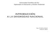 Divers Id Ad Nacional - Ing. Cristina Amiel 24.02.10
