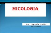 Micologia General Ida Des- Micosis Superficiales[1]