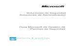 Gestion de Parches de Seguridad Microsoft