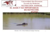 Rol Del Agua en la nutricion animal