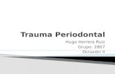 Trauma Periodontal