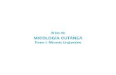 Atlas de Micología CutáneaTomo1
