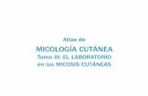 Atlas Micología Cutánea Tomo3
